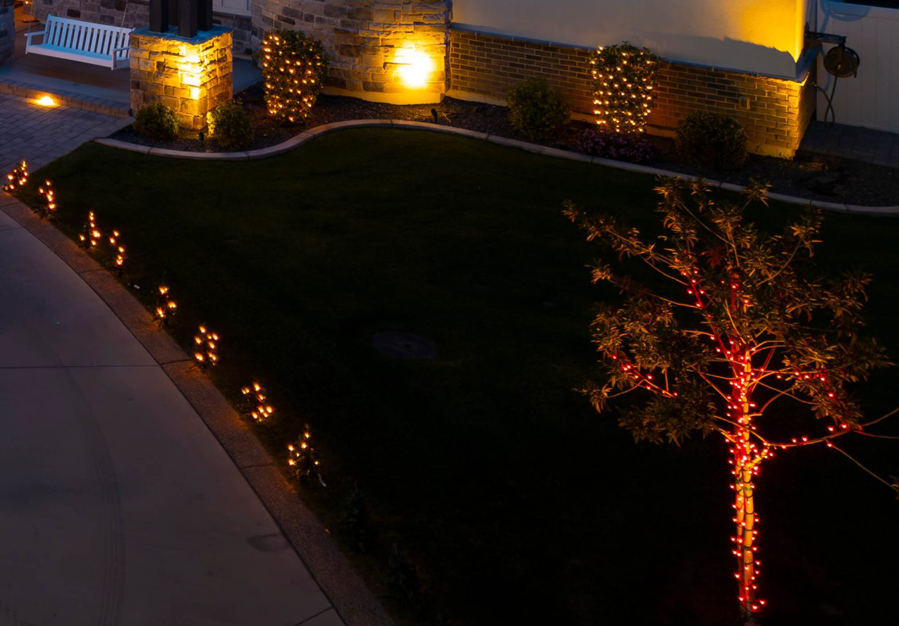 Landscape Lighting